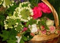 Bouquet, avec les roses du jardin